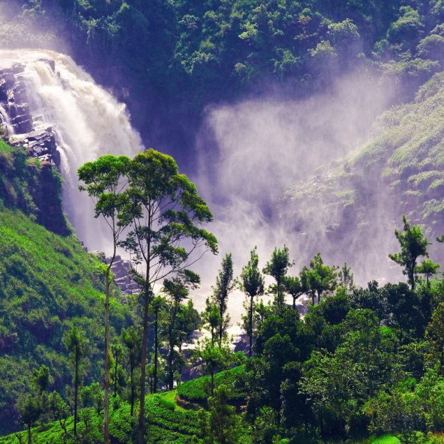 Nuwara Eliya