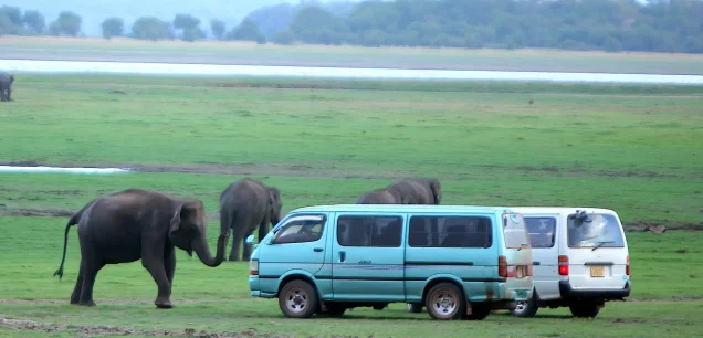 Minneriya National Park