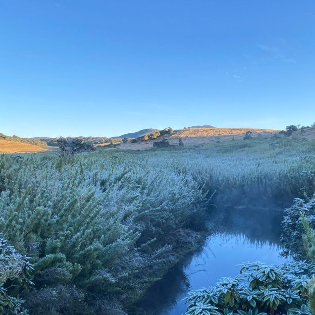 Horton Plains